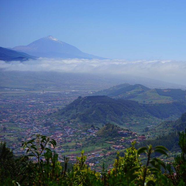 Discover Tenerife.... from the heights! 🪂

Did you know that the island offers some of the most spectacular paragliding destinations? 

Feel the excitement of flying as you admire the stunning views of the Teide, the southern coast and its beaches
--
Descubre Tenerife.... ¡desde las alturas! 🪂

¿Sabías que la isla ofrece algunas de las vistas más espectaculares del mundo para practicar parapente? 

Siente la emoción de volar mientras contemplas el impresionante paisaje del Teide, la costa sur y sus playas

#tenerife
#canaryislands
#paraglidingtenerife
#tenerifeadventures