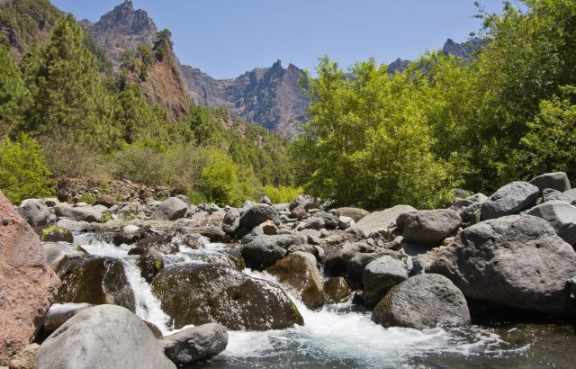 Are you planning a visit to this beautiful island? ❤️

In our blog, you will find a list of the must-see places in La Palma

👆 Link in stories
--
¿Estás planeando visitar la isla bonita? ❤️

En nuestro blog te hemos dejado un listado con los sitios imprescindibles de La Palma 

👆 Link en stories

#lapalma
#canaryislands
#visitlapalma
#islabonita