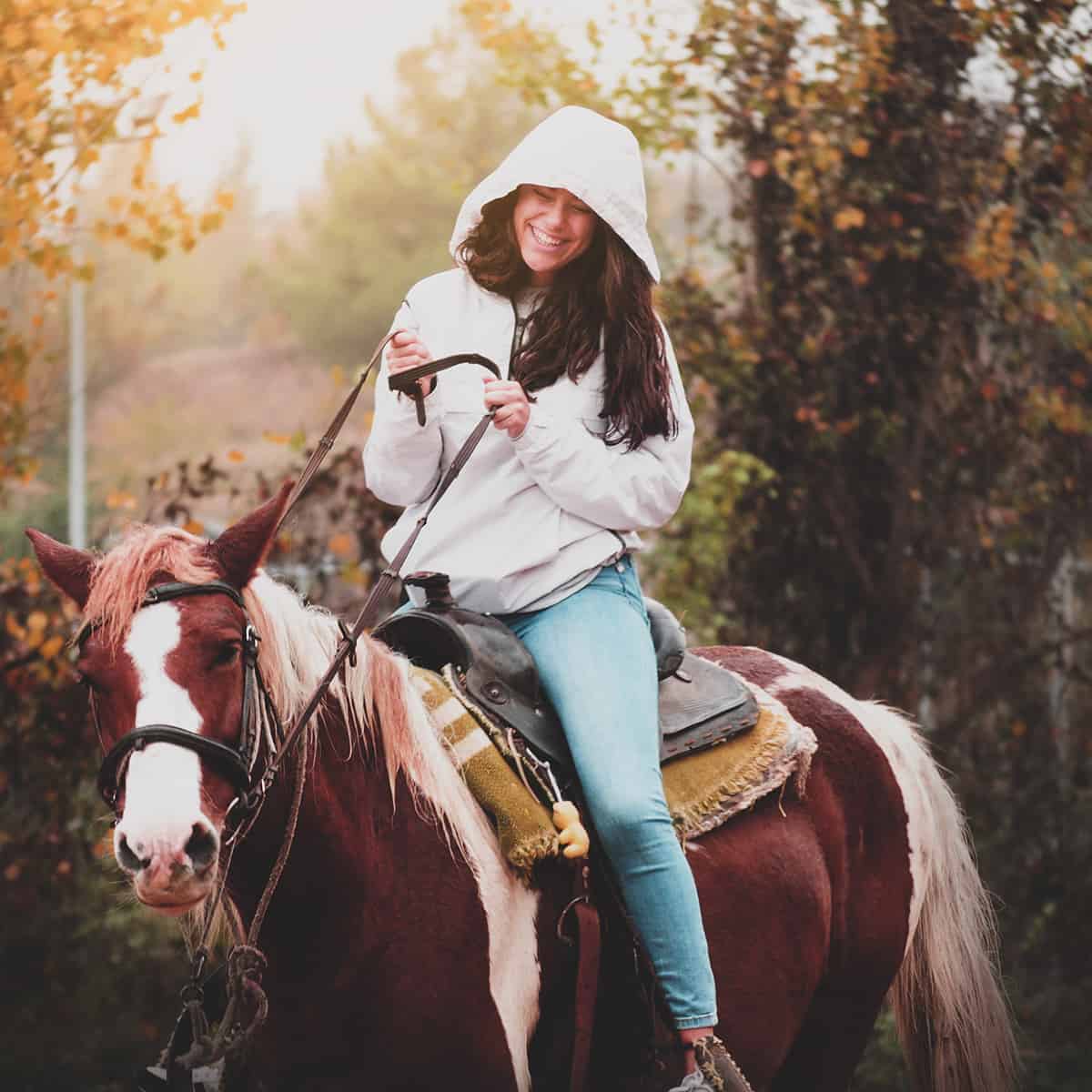 Horse riding on the Canary Islands