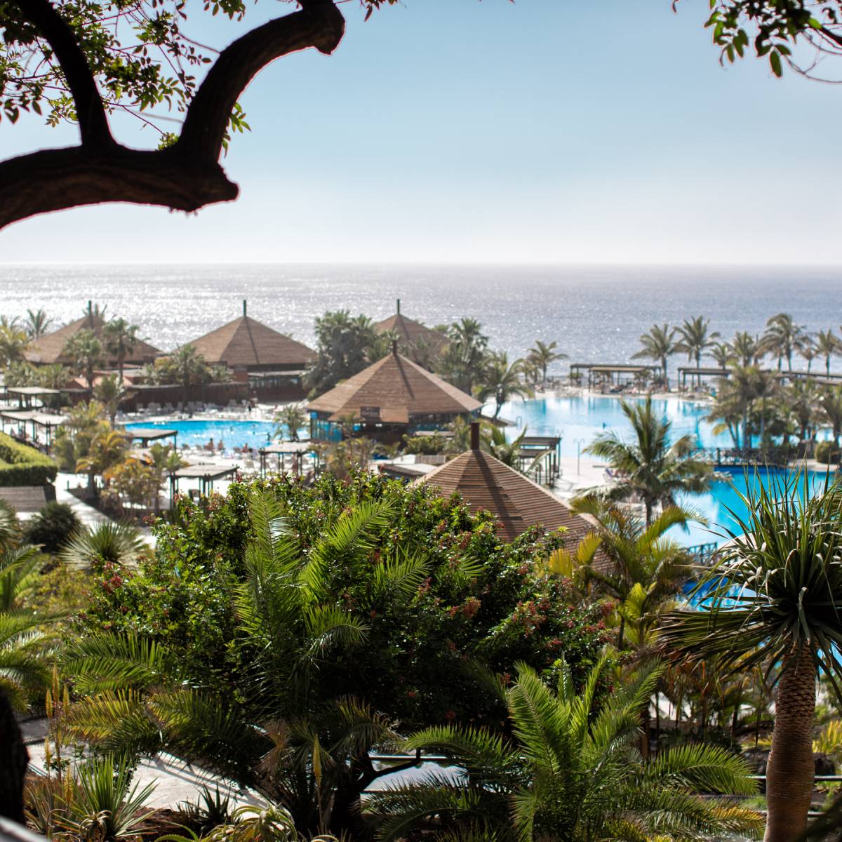 Hotel La Palma Princess, Palmen und Pool