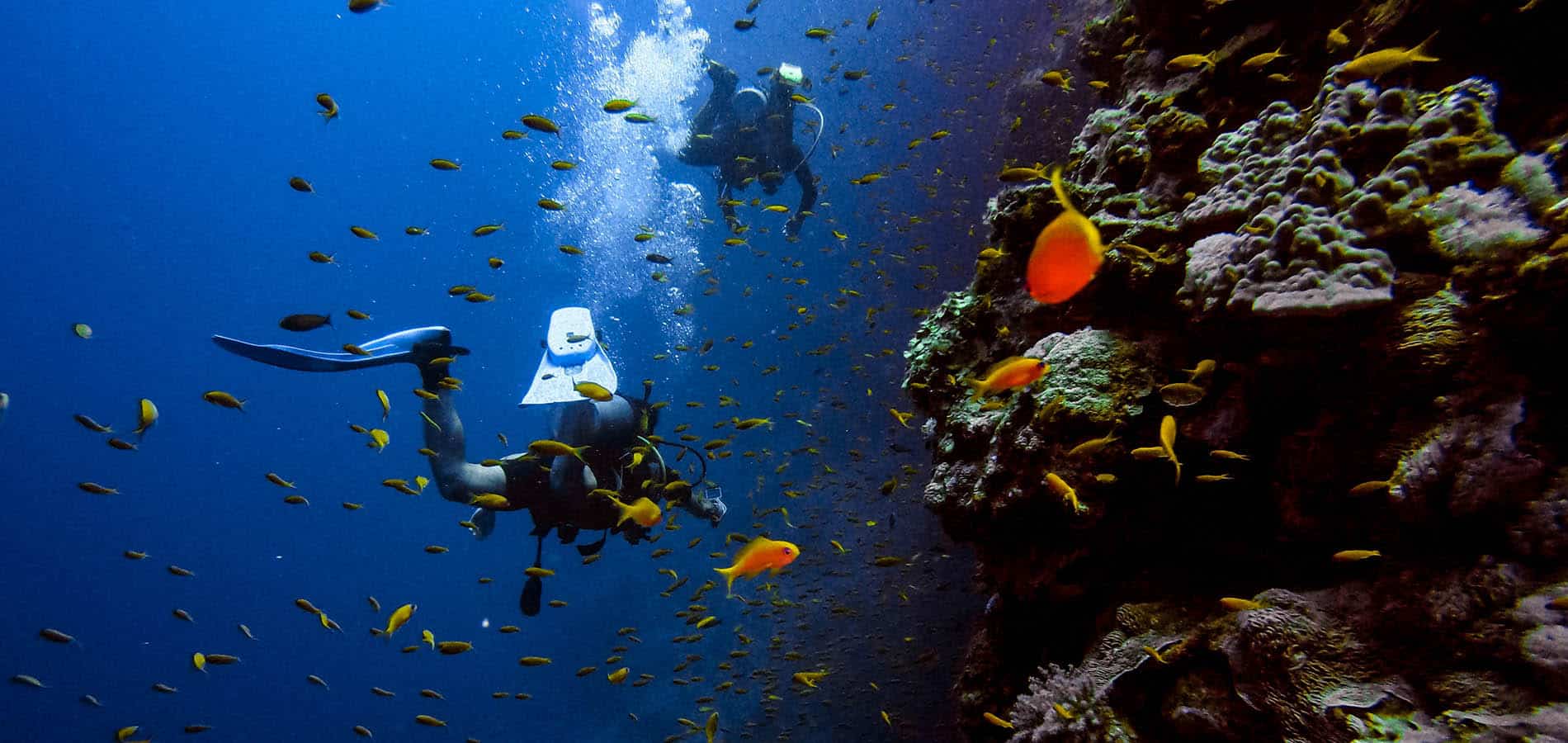 Scuba diving on La Palma