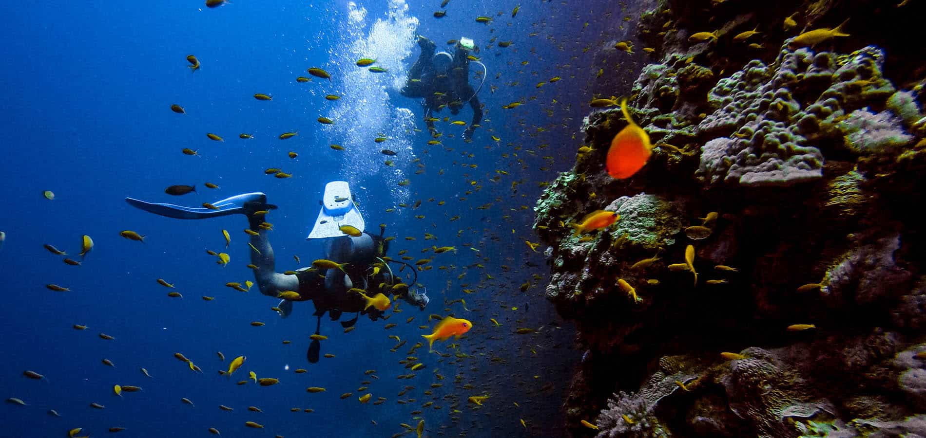 Submarinismo en La Palma